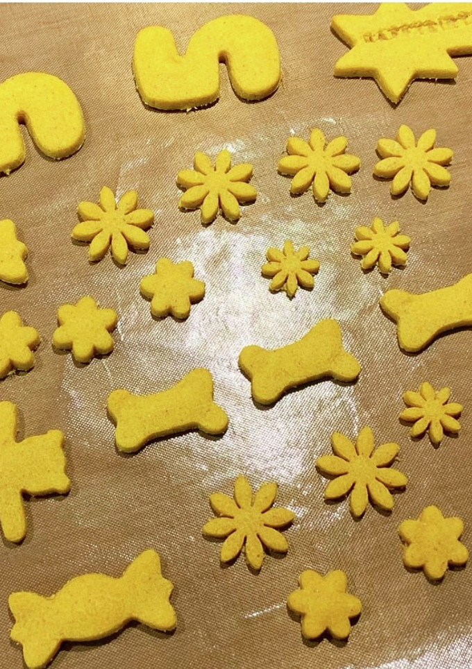 わんこ用(犬用)かぼちゃのクッキー-レシピのメイン写真