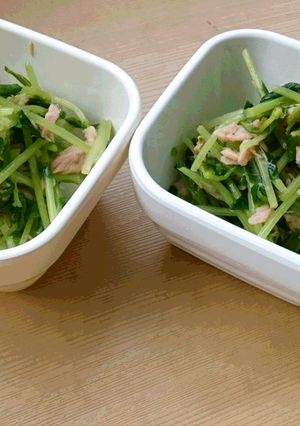 豆苗のツナサラダ-レシピのメイン写真