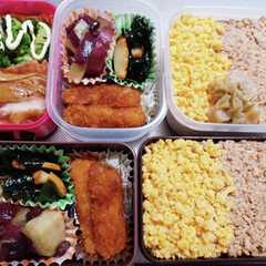 รูปของ 高校生息子、旦那、娘弁当(12/13)