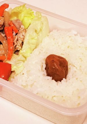 ぱぱのお弁当Ver.20221214-レシピのメイン写真