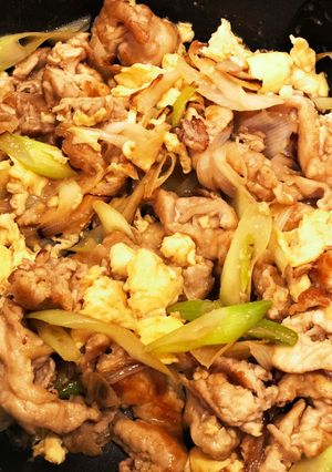 長ネギ・豚肉と卵の甘辛炒め-レシピのメイン写真