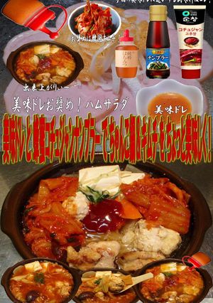 美味ドレ蜂蜜コチュジャンナンプラーちゃん-レシピのメイン写真