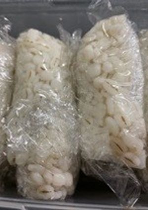 大麦(押麦)のゆで方-レシピのメイン写真
