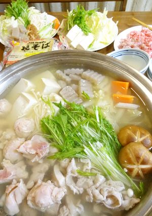 だしまで飲み干す＊さっぱり！塩鍋-レシピのメイン写真