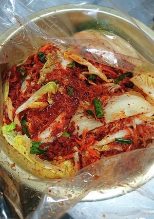 簡単自家製キムチ-レシピのメイン写真