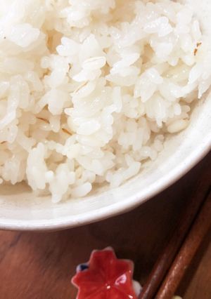 深鍋でふっくら簡単ごはん(胚芽押麦入り)-レシピのメイン写真