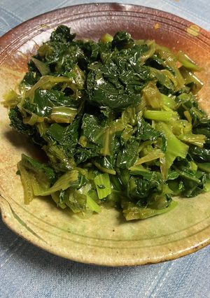 とりたて高菜で簡単一夜漬け(*´꒳`*)-レシピのメイン写真