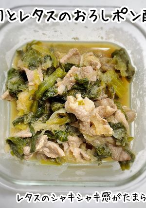 豚肉とレタスのおろしポン酢煮-レシピのメイン写真