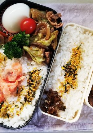 豚肉キャベツ炒め弁当(12.19)-レシピのメイン写真
