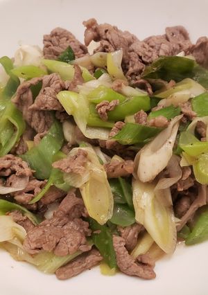 【10分】ネギだくさん焼き肉(1人前)-レシピのメイン写真