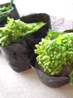 菜の花寿司-レシピのメイン写真