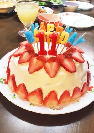 クリスマスにも！アイスドームケーキ-レシピのメイン写真