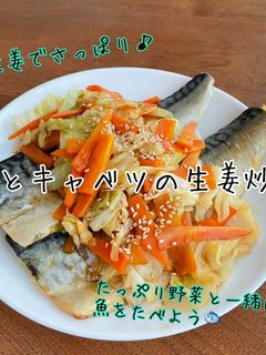 鯖とキャベツの生姜炒め-レシピのメイン写真