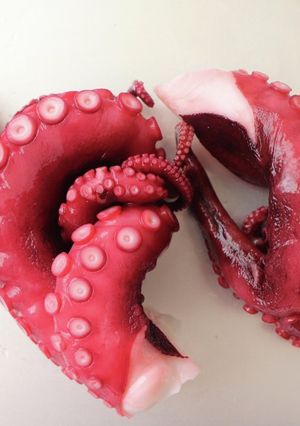 おいしいタコの見分け方-レシピのメイン写真