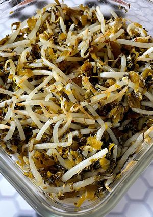 もやし　高菜炒め和え-レシピのメイン写真