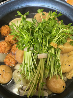 おでんに豆苗-レシピのメイン写真