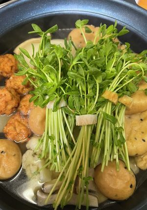 おでんに豆苗-レシピのメイン写真