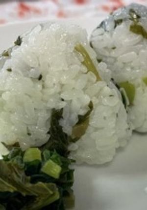 二塚からしなおにぎり-レシピのメイン写真