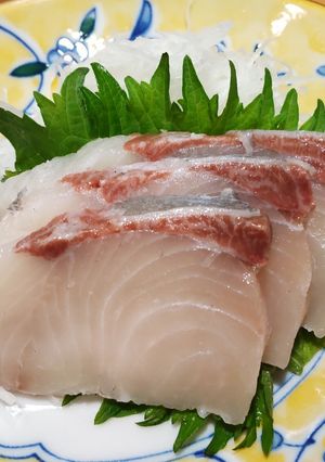 かんぱちの刺身（凍眠処理）-レシピのメイン写真