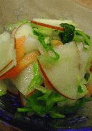 はなびし草の野菜いっぱい即席漬け～リンゴ入り～-レシピのメイン写真