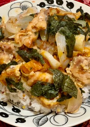 新玉葱と鶏もも肉の卵とじ丼-レシピのメイン写真