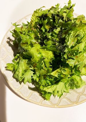 さっぱり美味しい♡わさび菜のごまポン-レシピのメイン写真
