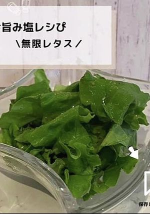 ◈無限レタス◈#旨み塩レシぴ◈-レシピのメイン写真