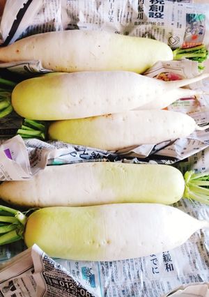 大量大根♪葉まで丸ごと保存方法☆新鮮-レシピのメイン写真