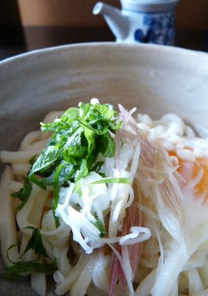 うちのぶっかけうどん-レシピのメイン写真