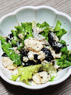 リーフレタスと豆腐のサラダ♪しらす海苔☆-レシピのメイン写真