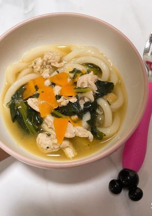 4歳児の風邪のおともうどん-レシピのメイン写真