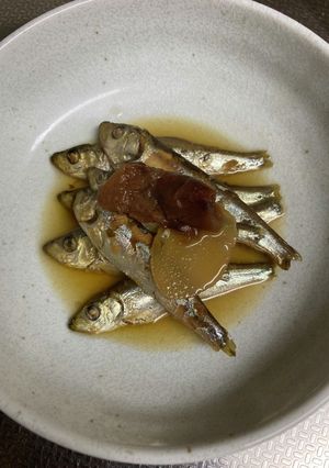 冷凍小イワシの梅生姜煮-レシピのメイン写真