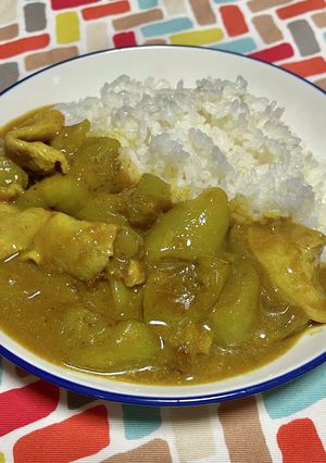 超簡単☆旨味堪能！揚げ茄子豚バラカレー♫-レシピのメイン写真
