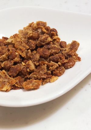 愛犬用・フライパンでドライ納豆part3-レシピのメイン写真