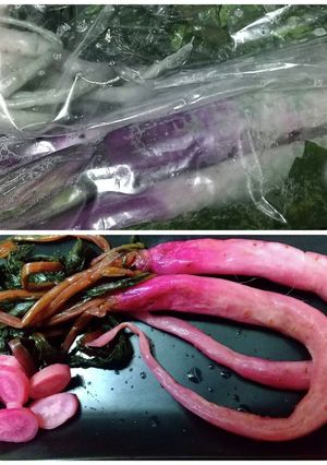 日野の日野菜農家さん日野菜漬け-レシピのメイン写真