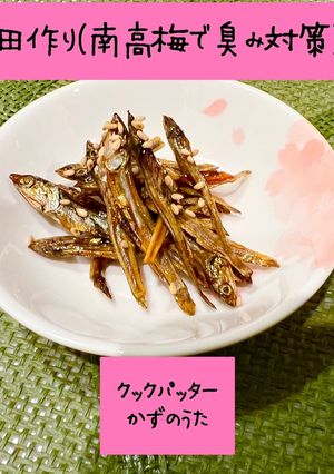 田作り(南高梅で臭み対策)-レシピのメイン写真