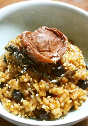 寝かせ玄米 赤豌豆入り発芽玄米酵素ご飯-レシピのメイン写真