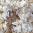 簡単ごはん(なめたけ)