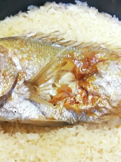 四毒抜き 焼鯛丸ごと一尾で炊く 鯛めし-レシピのメイン写真