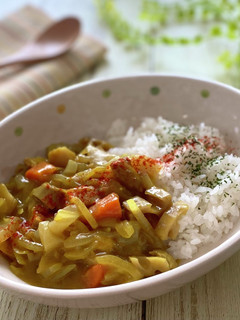 筑前煮リメイク 和風カレー-レシピのメイン写真