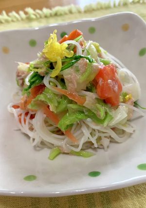 あっさり柚子入りビーフンサラダ〜♪-レシピのメイン写真