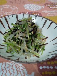 【美人レシピ】豆苗ともやしのナムル-レシピのメイン写真