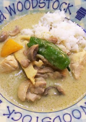 ＃ワンプレート　グリーンカレー-レシピのメイン写真