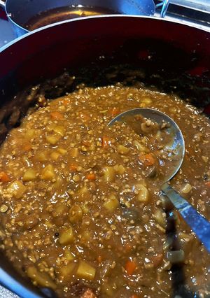 偽キーマカレー-レシピのメイン写真
