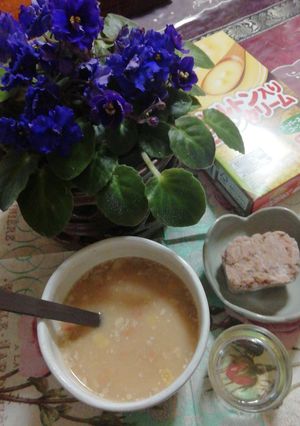 脳のスープ-レシピのメイン写真