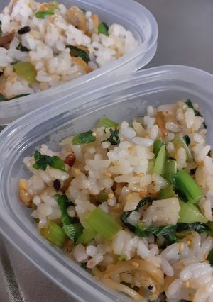 小松菜としらすの混ぜご飯(おにぎり)-レシピのメイン写真