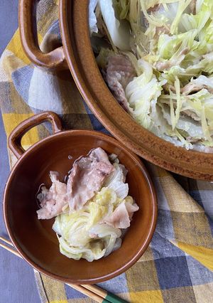 生姜たっぷり白菜と豚肉の塩麹煮込み-レシピのメイン写真