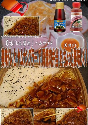 美味ドレとヤムナンプラーで豚焼肉弁当！-レシピのメイン写真