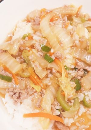 簡単＆節約☆白菜とひき肉のあんかけ丼-レシピのメイン写真
