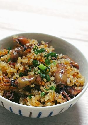 干し子イカの玄米炊き込みご飯-レシピのメイン写真